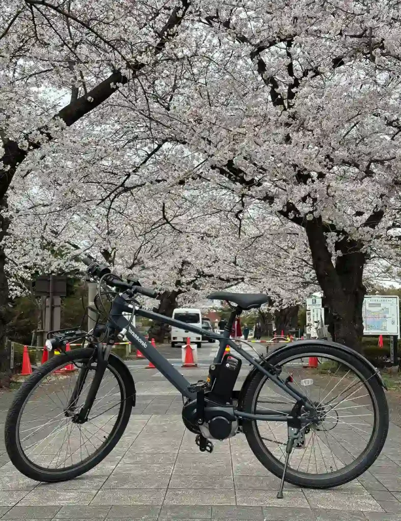 Tokyo bike tour company