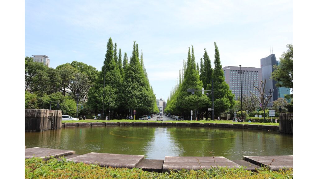 Cycling in Meiji Jingu Gaien
