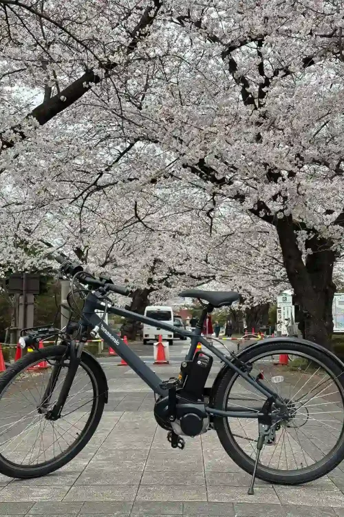 Tokyo bike tour company