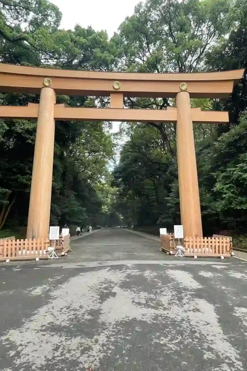 meji jingu