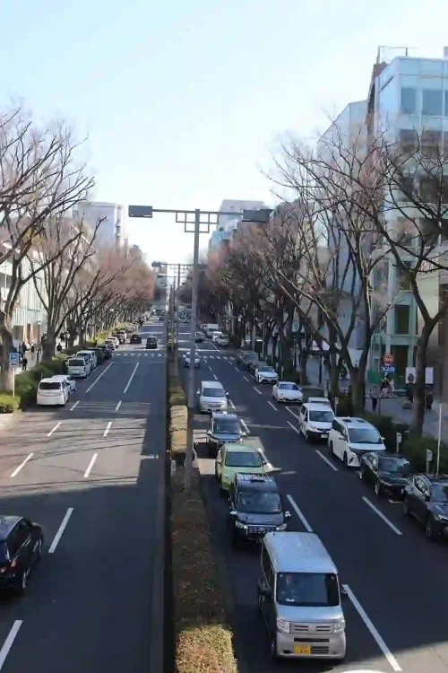 omotesando st