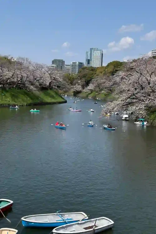 palace moat w row boats