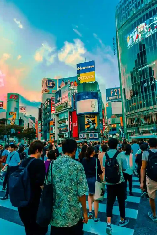 Small group bike tours Tokyo